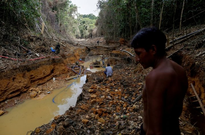 Brazil |  Deforestation on the Amazon has risen to record levels