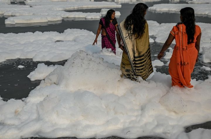 India: Yamuna, the holy river, is covered with poisonous moss