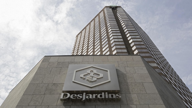 Massive data theft: The former employee admitted everything to the management of Desjardines
