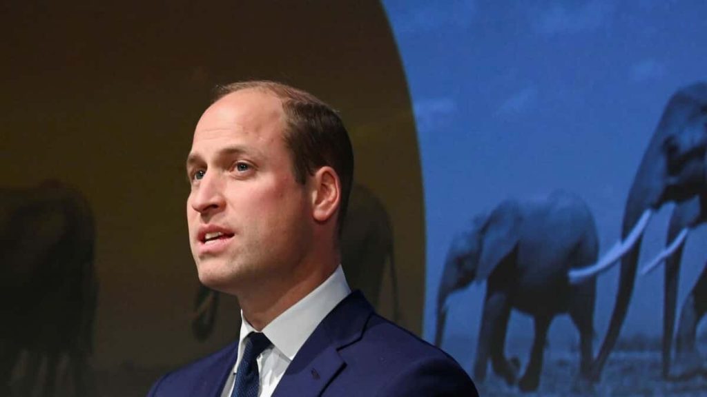 Prince William remembers singing to his mother, Diana Tina Turner