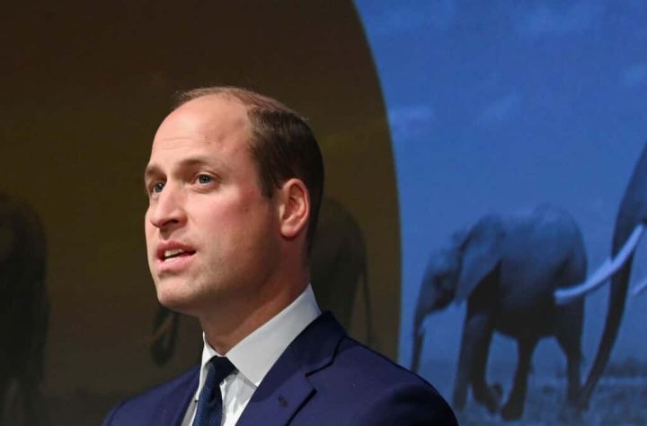 Prince William remembers singing to his mother, Diana Tina Turner