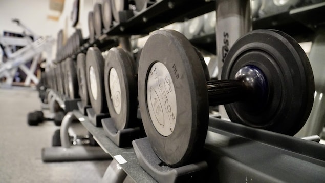 Des gyms et salles dfiente dfient Québec