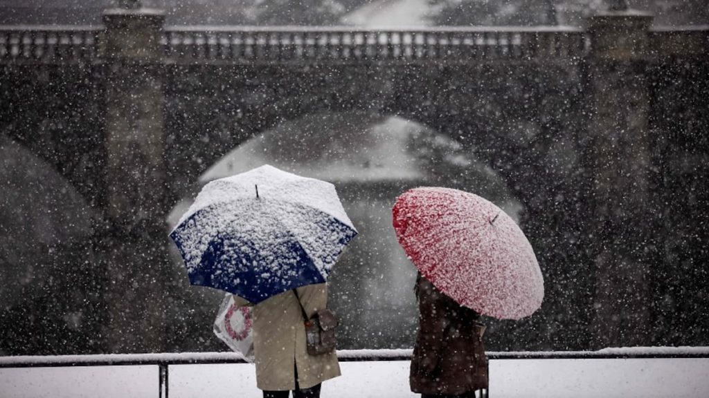 In pictures |  Extraordinary snowfall in Tokyo