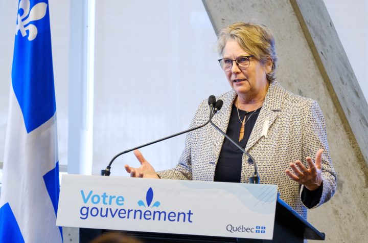 Analyze critique on the REM de l'Est |  The Minister Rouleau snend a DG de la STM