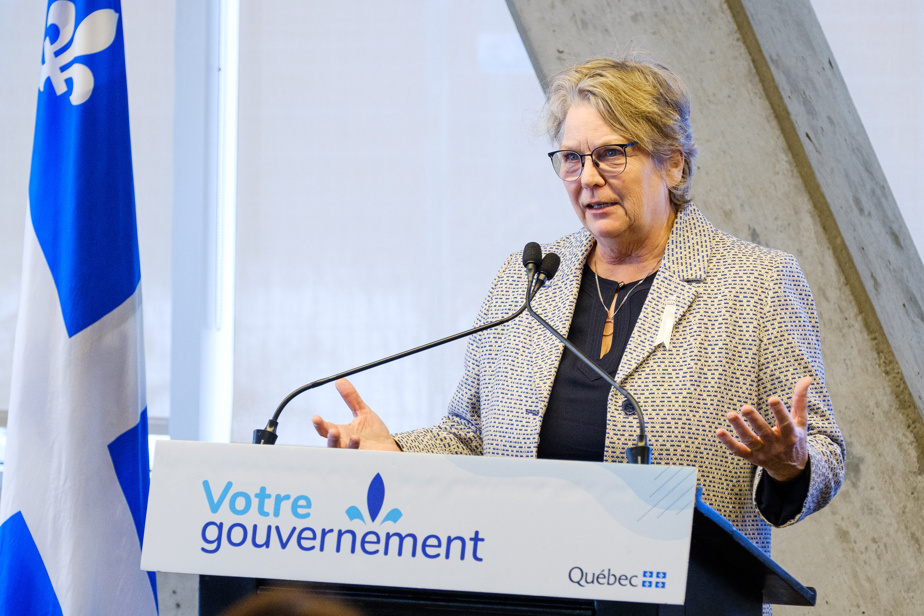 Analyze critique on the REM de l'Est |  The Minister Rouleau snend a DG de la STM