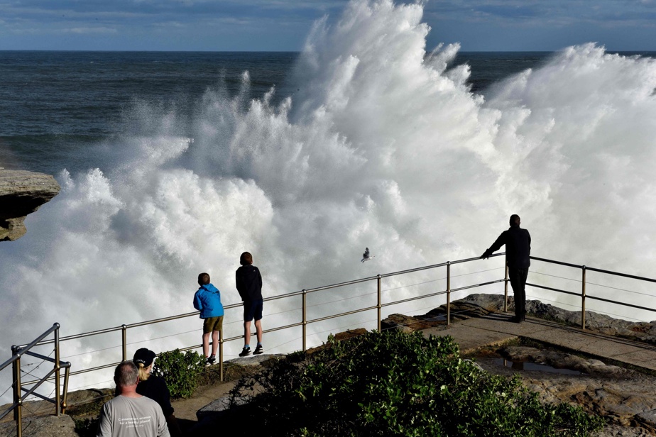 Australia |  A Sydney beach is occupied by huge waves