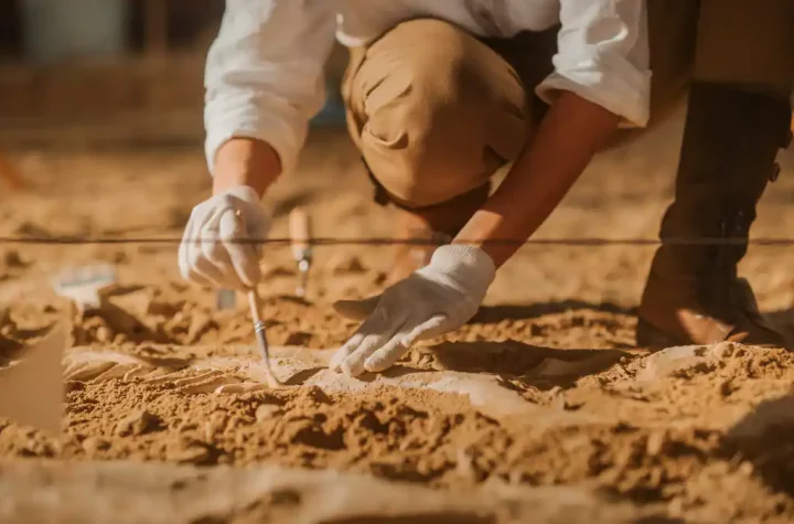 A 4,500-year-old stone statue has been found in Gaza