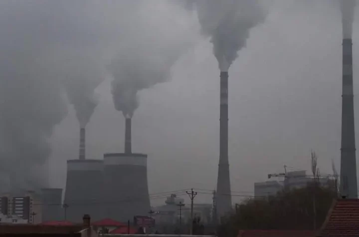 China removes tariffs on coal imports