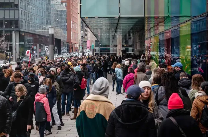 Presidential election: The French in Montreal make their voices heard