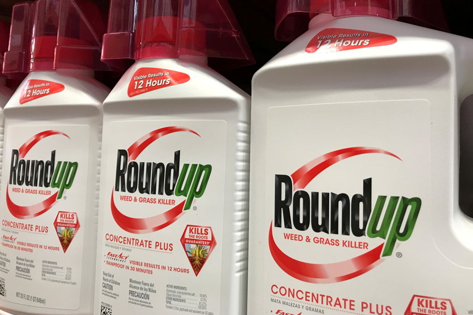 Glyphosate |  Bayer suffered a legal setback, losing more than 6% of the action