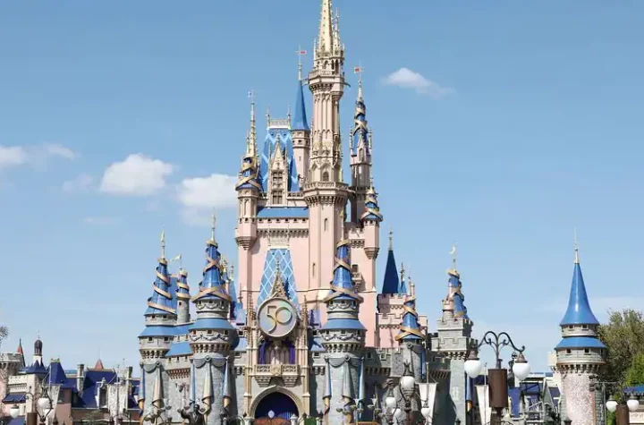 12 Disney parks by private jet ... $ 110,000