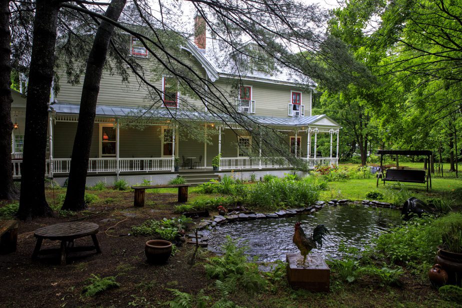 A pond adorns one side of the garden.  A new project is to integrate a swimming pool.