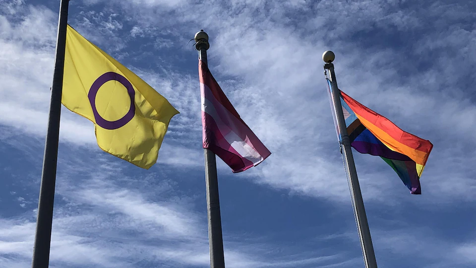 Intersex, lesbian pride and LBGTQ2+ community flags fly side by side.