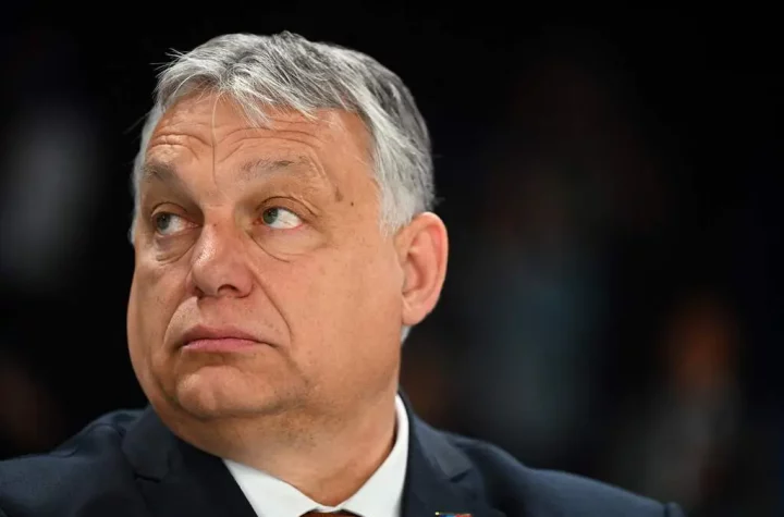 Orbán and the Hungarian "race": Auschwitz committee says it is "terrified".