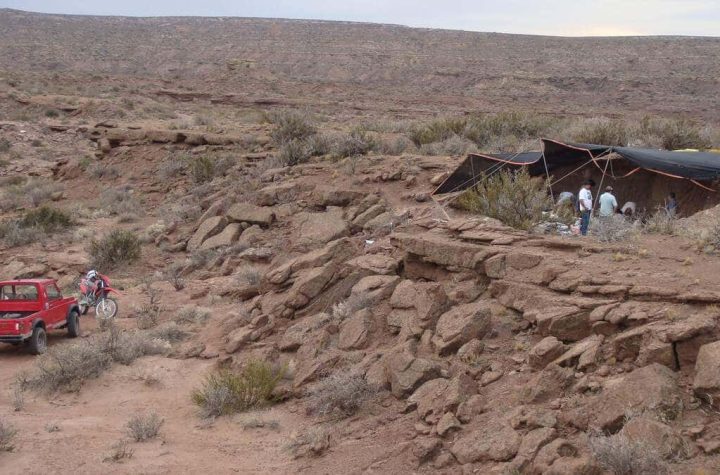 In pictures |  A new giant dinosaur has been discovered in Argentina