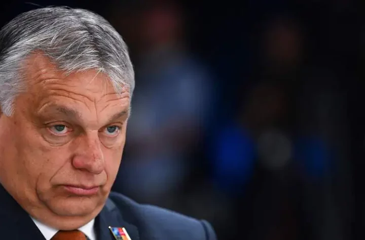 Orbán and the Hungarian "race": Auschwitz committee says it is "terrified".