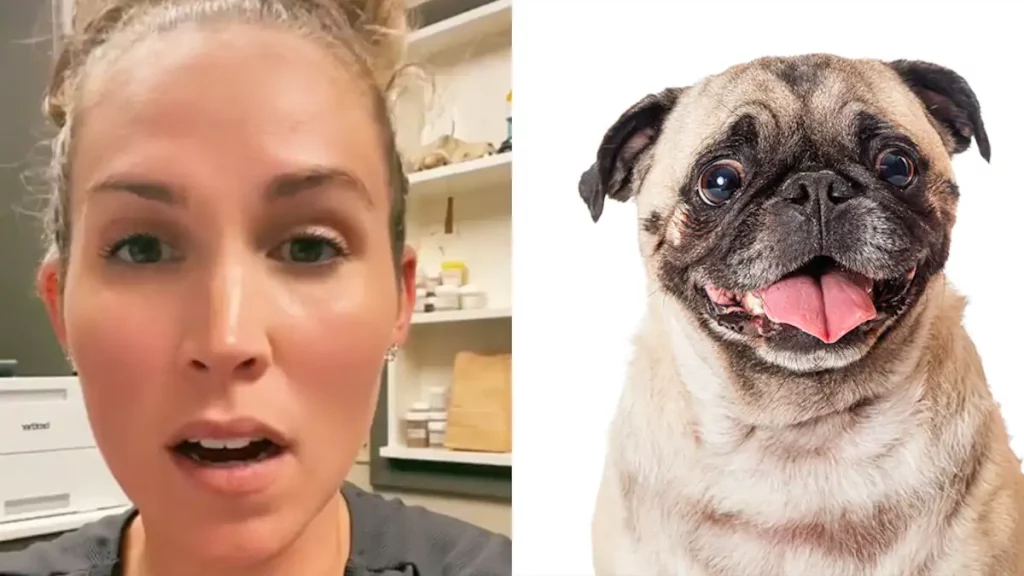 Vet sparks controversy by revealing his 5 'worst' dog breeds