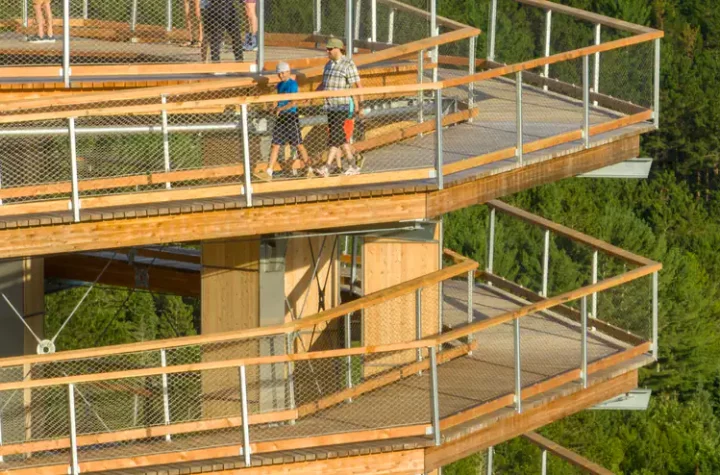 Laurentides: An aerial walkway through the jungle and a 12-story tower to observe nature