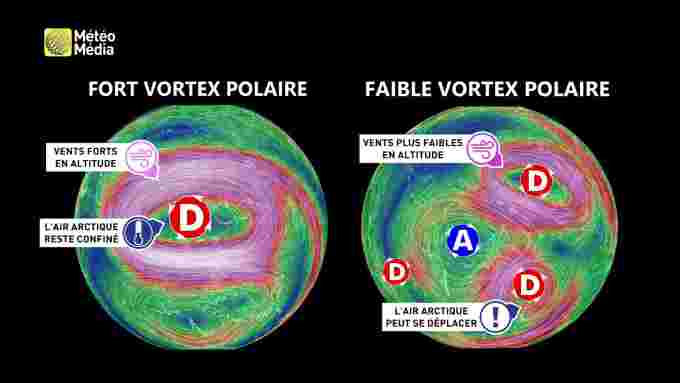 Vortex4 (1)