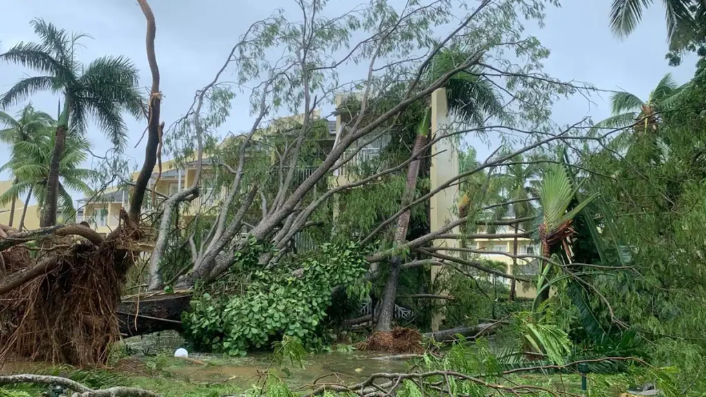 Images |  Quebecers at heart of Hurricane Fiona in Dominican Republic: "It's not a pretty sight"