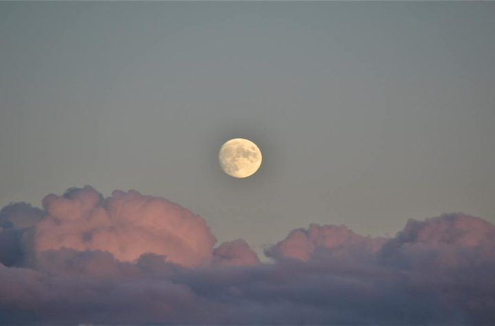 Look up at the sky, the moon has a special show in store