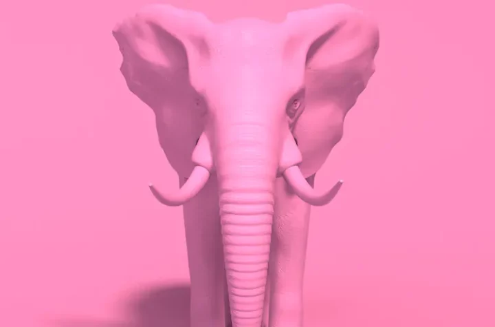 Pink elephants!  |  The Journal of Montreal