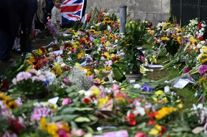 Queue access to see Elizabeth II's suspended coffin