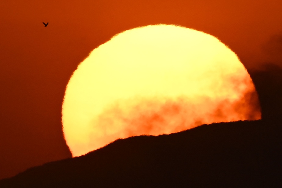 Record heat wave in California