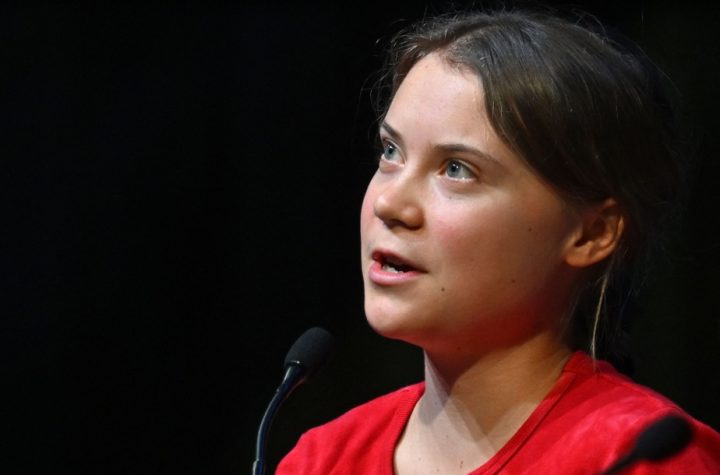 "COPs don't really work", laments Greta Thunberg