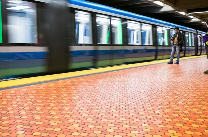 Dogs are allowed on the metro