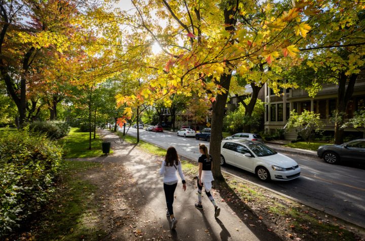 Outremont prohibits gas-powered leaf blowers