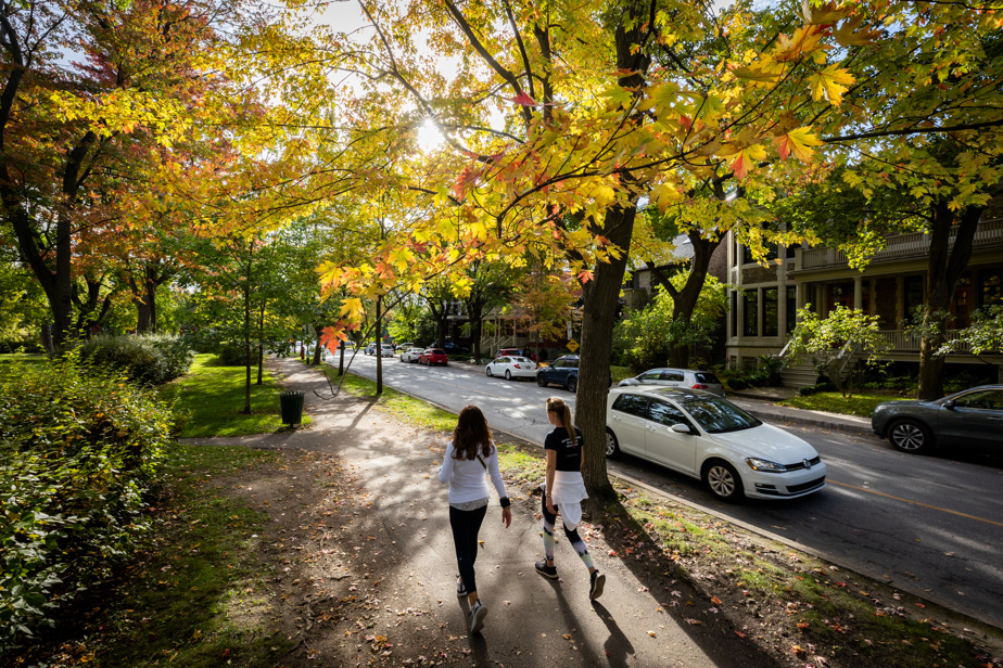 Outremont prohibits gas-powered leaf blowers