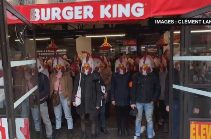 In the video |  Activists dressed as chickens attacked Burger King