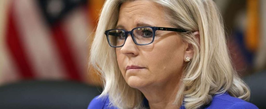 Liz Cheney, a Trump Republican pet peeve, has supported Democratic candidates in the midterm elections