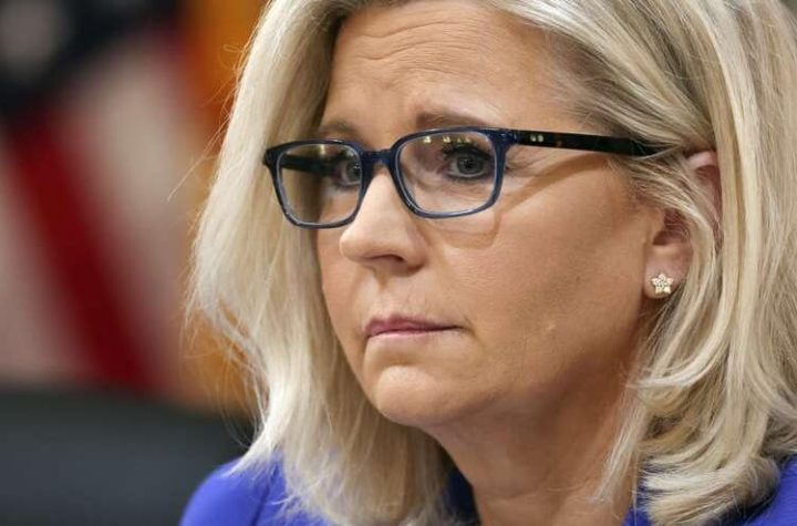 Liz Cheney, a Trump Republican pet peeve, has supported Democratic candidates in the midterm elections