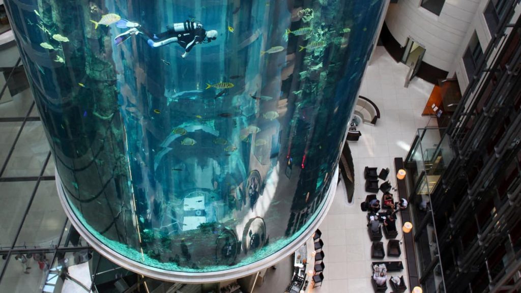 Aquarium explodes in Berlin: Vets try to save fish