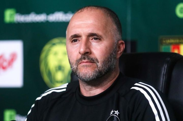 "Reasons" for Belmadi's absence from Qatar