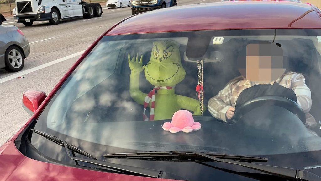 The Grinch was fined for carpooling