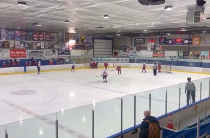 Trois-Rivieres: Officials condemn hockey fan's gesture