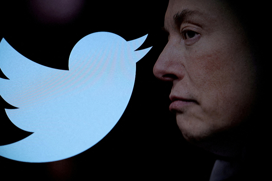 Twitter |  Elon Musk promises a more transparent algorithm
