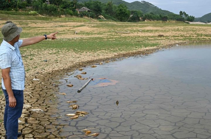 Vietnam: Fishermen are helpless in the face of drought