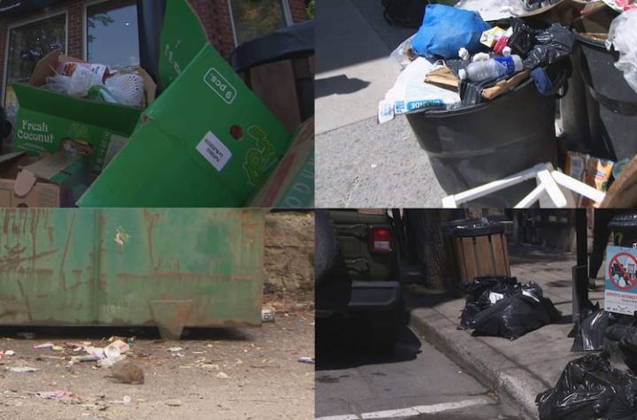 "It's disgusting!": Montrealers express their disgust with their city