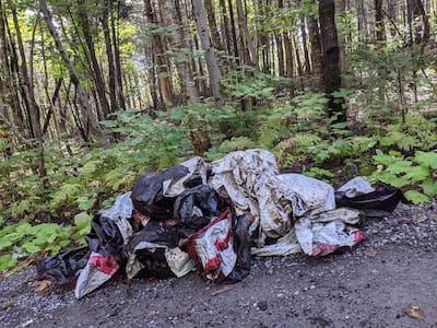 A cleanup of an illegal dump in a forested area of ​​Beauport along the Chemin du Lac-des-Roches made it possible to recover this paint pan and many other items of waste.