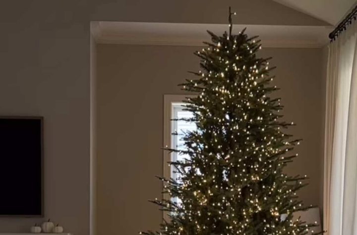 This Home Depot Christmas tree with changing lights is going viral on tick talk