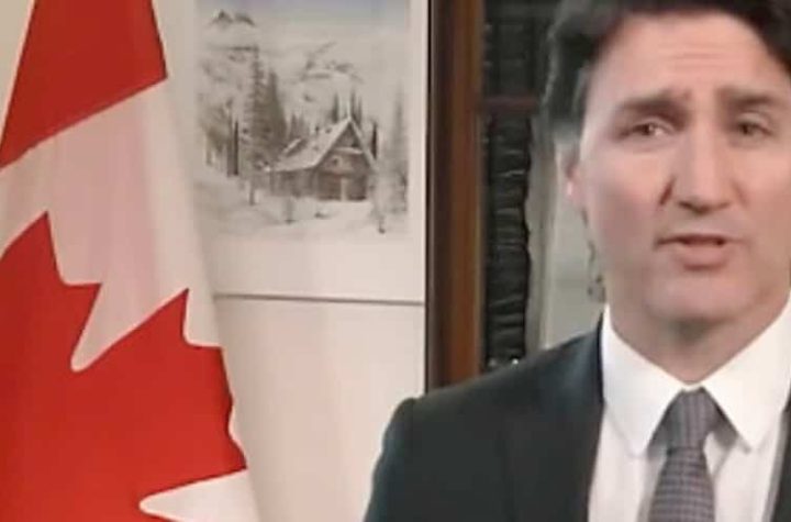 Fake video of Justin Trudeau used in scam: Expert calls for regulation of 'Wild West online'