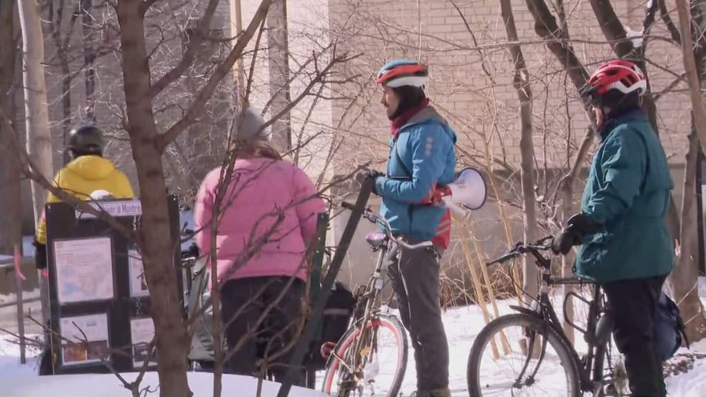 Winter cycling: a practice that is growing in popularity