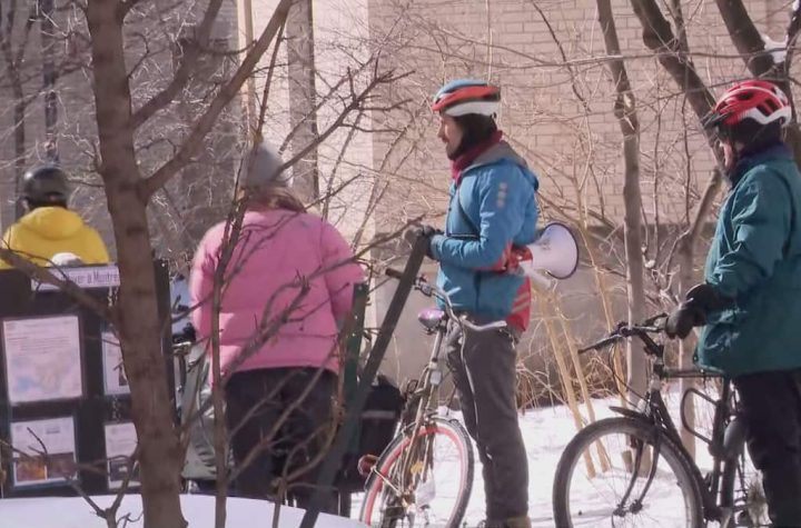 Winter cycling: a practice that is growing in popularity