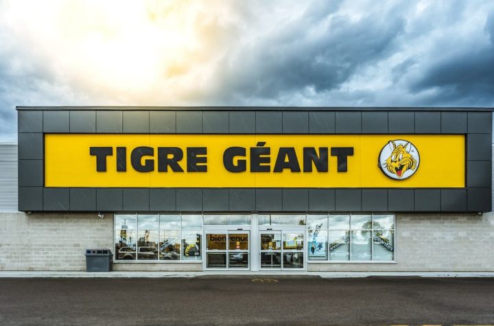 Personal Information Leak: Giant Tiger Customer Data Compromised