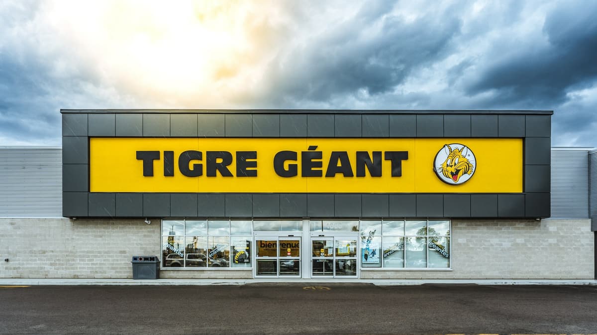 Personal Information Leak: Giant Tiger Customer Data Compromised