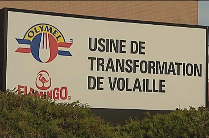 "She has no guarantee": the heartfelt cry of the spouse of an Olimel factory worker in Saint-Jean-sur-Richelieu